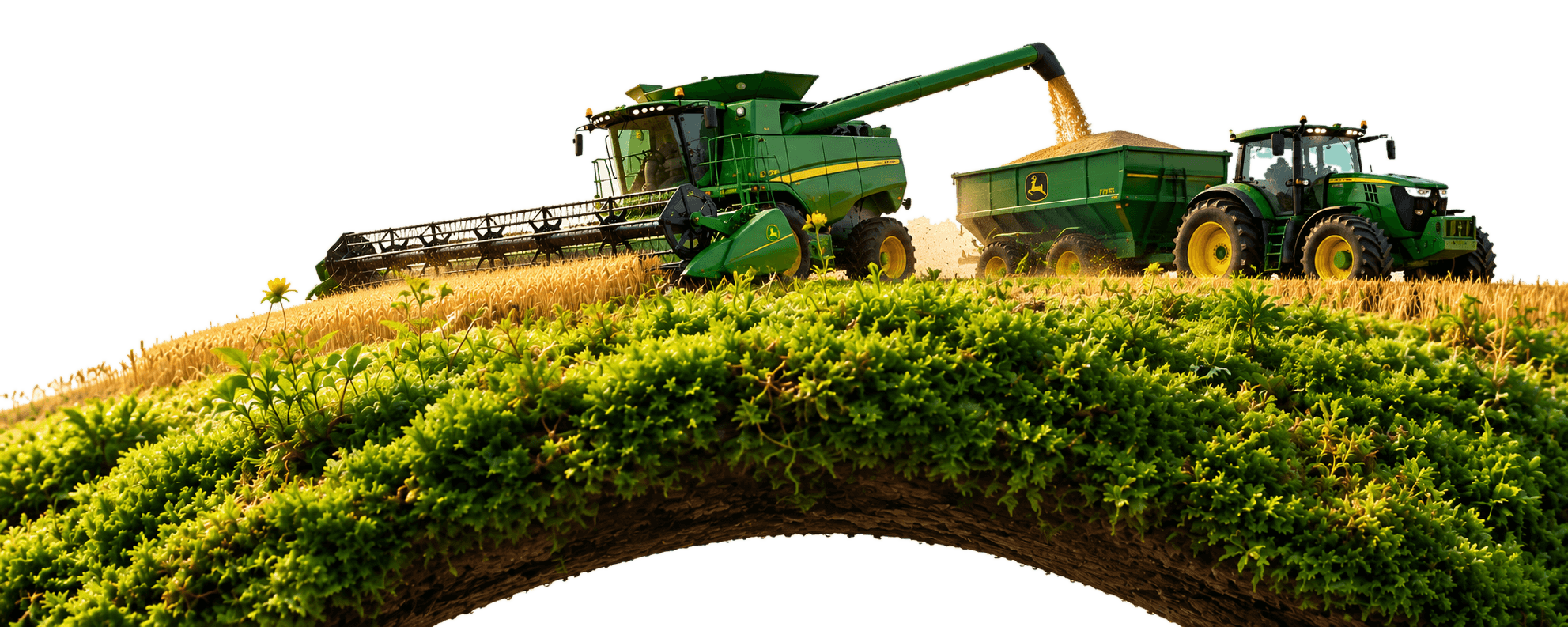 Une moissonneuse remplit une benne tirée par un tracteur, sur une arche couverte de mousse